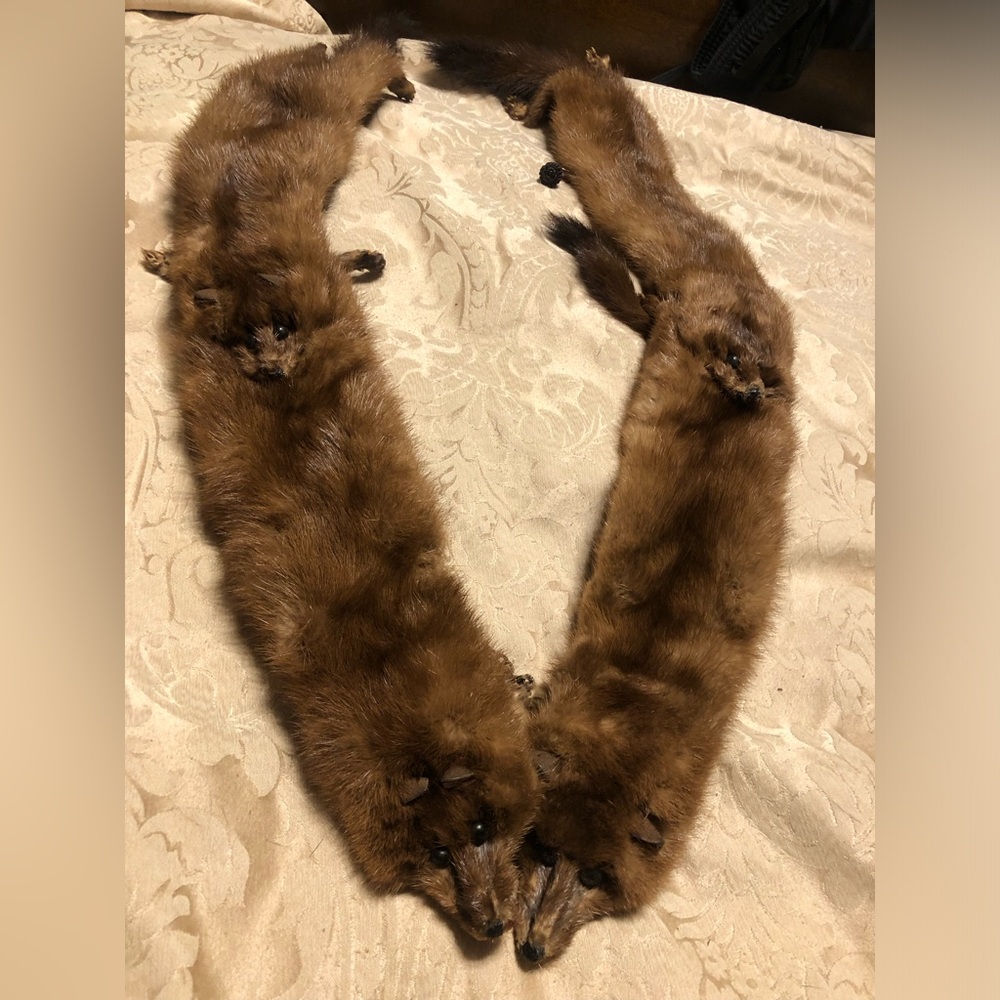 Vintage fox fur pelt Herman jr erie